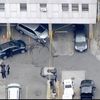Man Crashes Into Bushwick's 81st Precinct And Shoots Himself In The Head